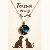 Pet Memorial Ashes Silver Round Necklace