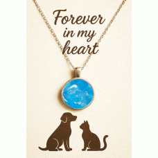 Pet Memorial Ashes Silver Round Necklace