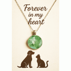 Pet Memorial Ashes Silver Round Necklace