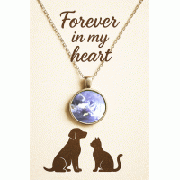 Pet Memorial Ashes Silver Round Necklace