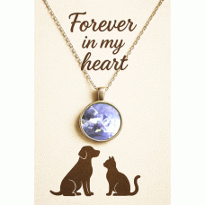 Pet Memorial Ashes Silver Round Necklace