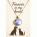 Pet Memorial Ashes Silver Round Necklace