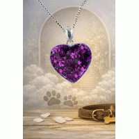 Pet Memorial Ashes Heart Necklace Pet Memorial Ashes Heart Necklace