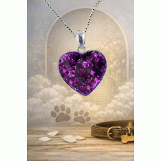 Pet Memorial Ashes Heart Necklace