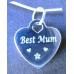 Sterling Silver Engraved Necklace Best Mum