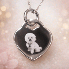 Sterling Silver Pet Engraved Necklace